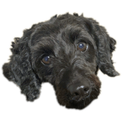 Mirukii_20220308182603