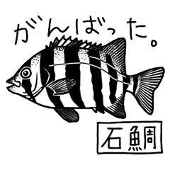 Realistic fish illustrations and kanji