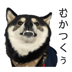 monaka_1010