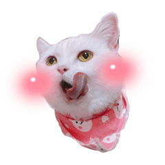 宝宝我今年一歲