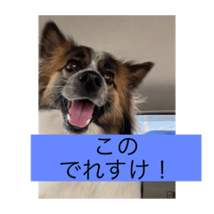 hANA_20220309185715