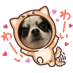 MIZUKI_20220309202250