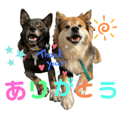 koumone_20220310002030