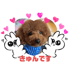 risa_20220310083524