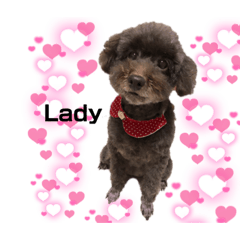akari_20220310084744