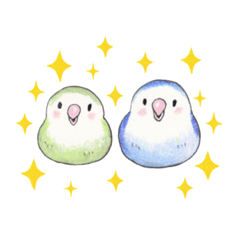 LOVEBIRD ao&amo2