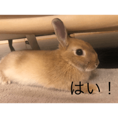 kinaco_20220310073625