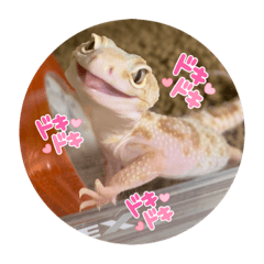 hatata_20220310075350