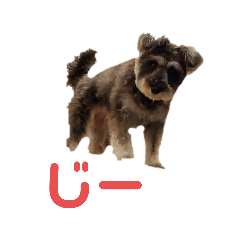 natsumi_20220309175212