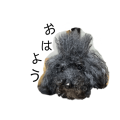 natsumi_20220310001311