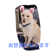 RONRONRONRON