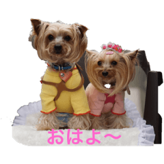 miki_20220309234920