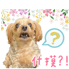合緣球球