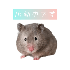 kantumi2