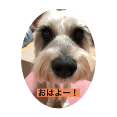 AK_20220309172314