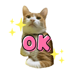 mizuki_20220310110611