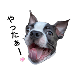 MICHIKO_20220309204827