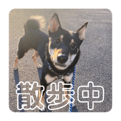 Mizuki_20220310132742