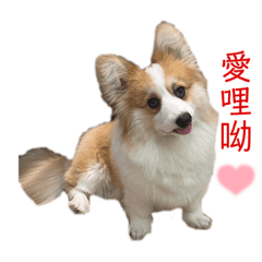 底迪❣️