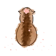 貓咪咪貓 3 櫻花季 cat tac with Sakura