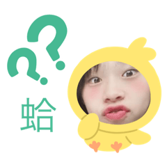 防護網一家