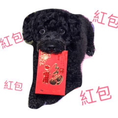 bb life2