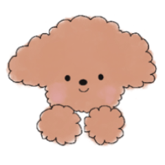 fuwamoja toy poodle