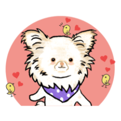 Chihuahua's Tororo-chan sticker