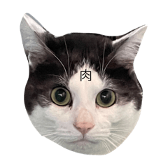 hikaru_20220310151048