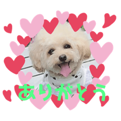 junko_20220310155614