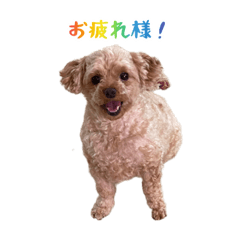 nozomukun1