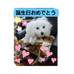 miki_20220310203153