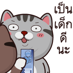 วีต้าแมวป่วน