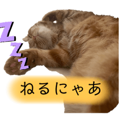 Natsumi_20220311022141