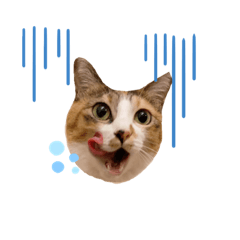 marugaonoaya_20220310180607