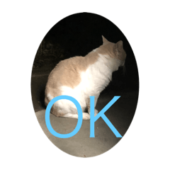 Abcdefg_20220311001644