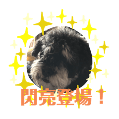 雪辣妹：可樂！