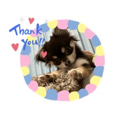 natsumi_20220310235601