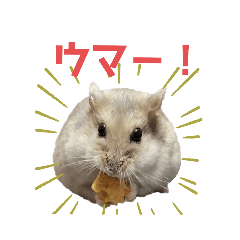 Hamster Po-chan – LINE stickers | LINE STORE Hamster Po-chan – LINE stickers | LINE STORE