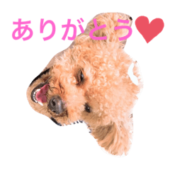 nozomi_20220310205653