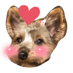 nozomi_20220310211012