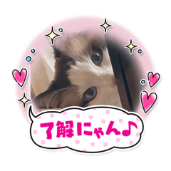 RINGO_20220310224136