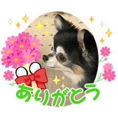 Rei_20220310212828