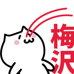 LAST NAME Sticker UMEZAWA!!!