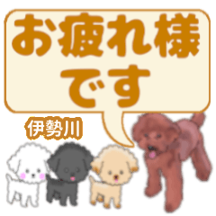 Isegawa's. letters toy poodle