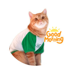 Orange_20220310221654