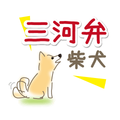 三河弁柴犬1