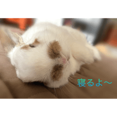 REI_20220310205810