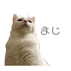 yuina_20220311152415