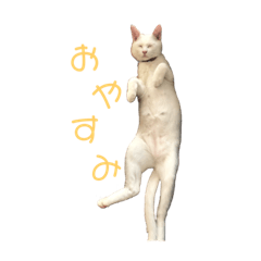 yuina_20220311153631